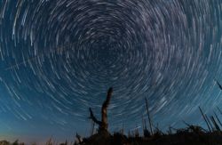 Startrails über dem Bayerwald. Bildautor: Gerhard Hackner