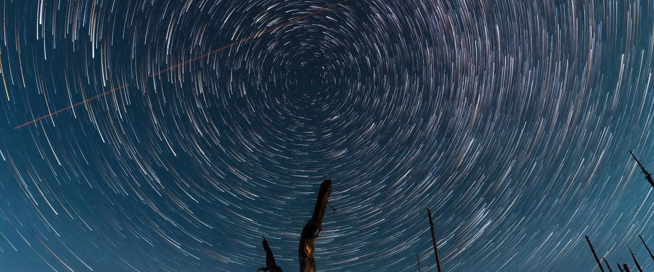 Startrails über dem Bayerwald. Bildautor: Gerhard Hackner