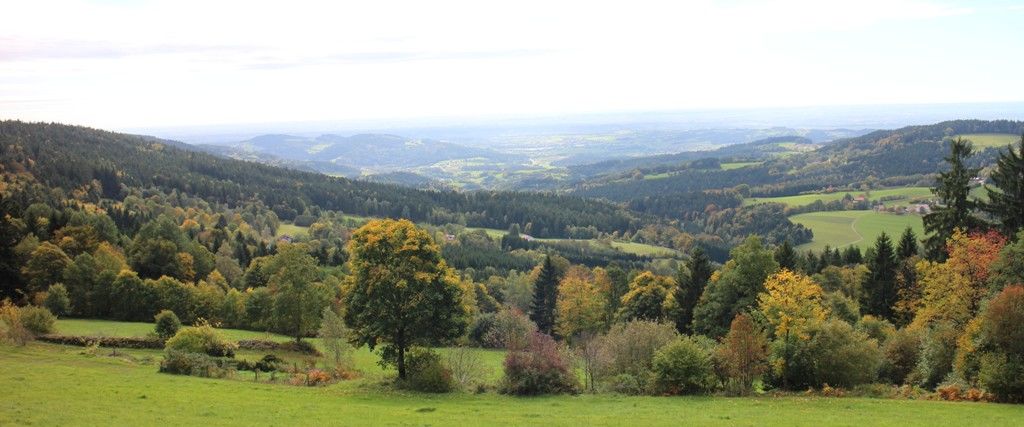 Nature Park Bavarian Forest Nature Park Bavarian Forest